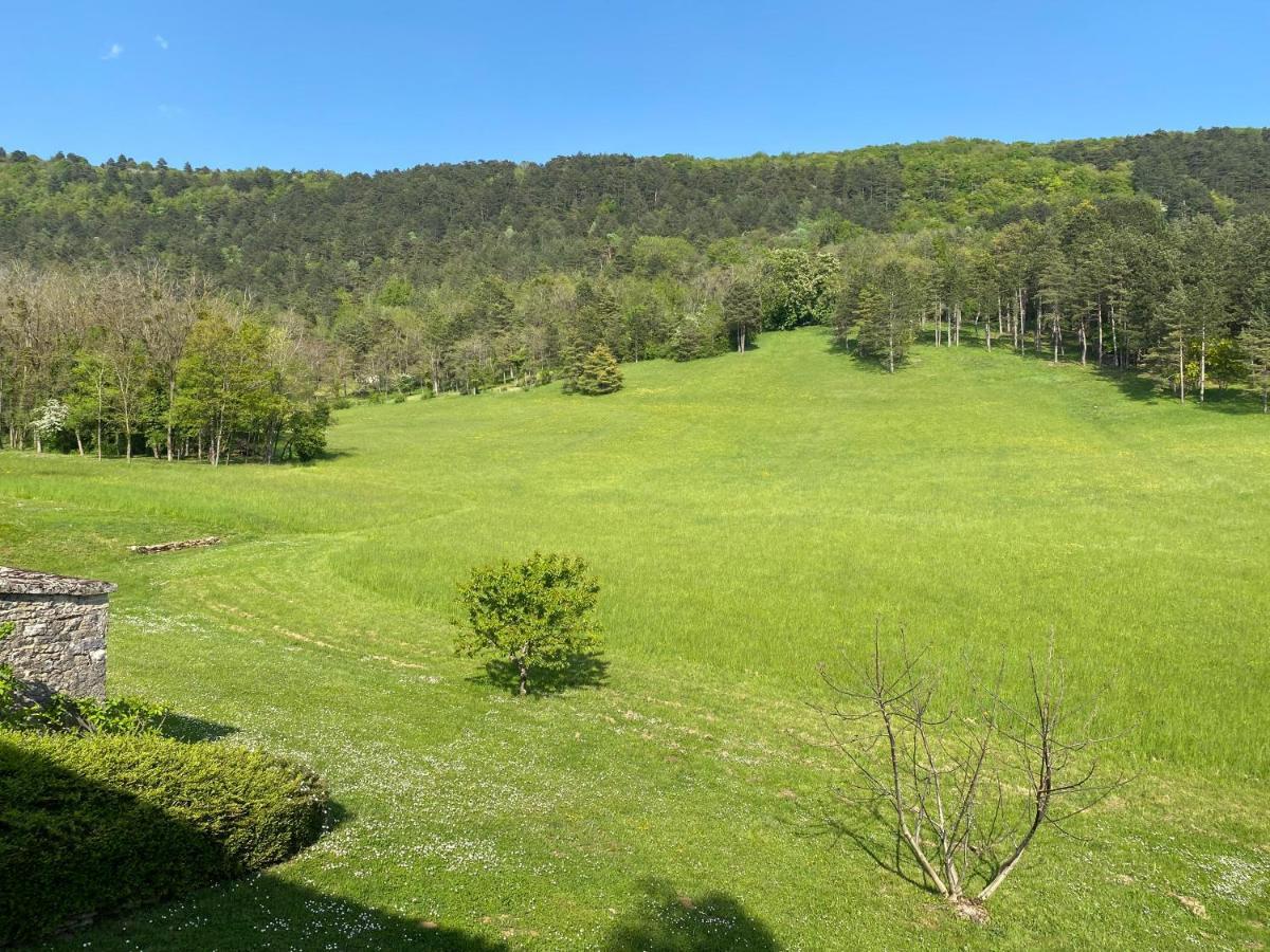Clos De Mont July, Architecture Xviiie Au Coeur De La Nature Ceyzeriat Εξωτερικό φωτογραφία