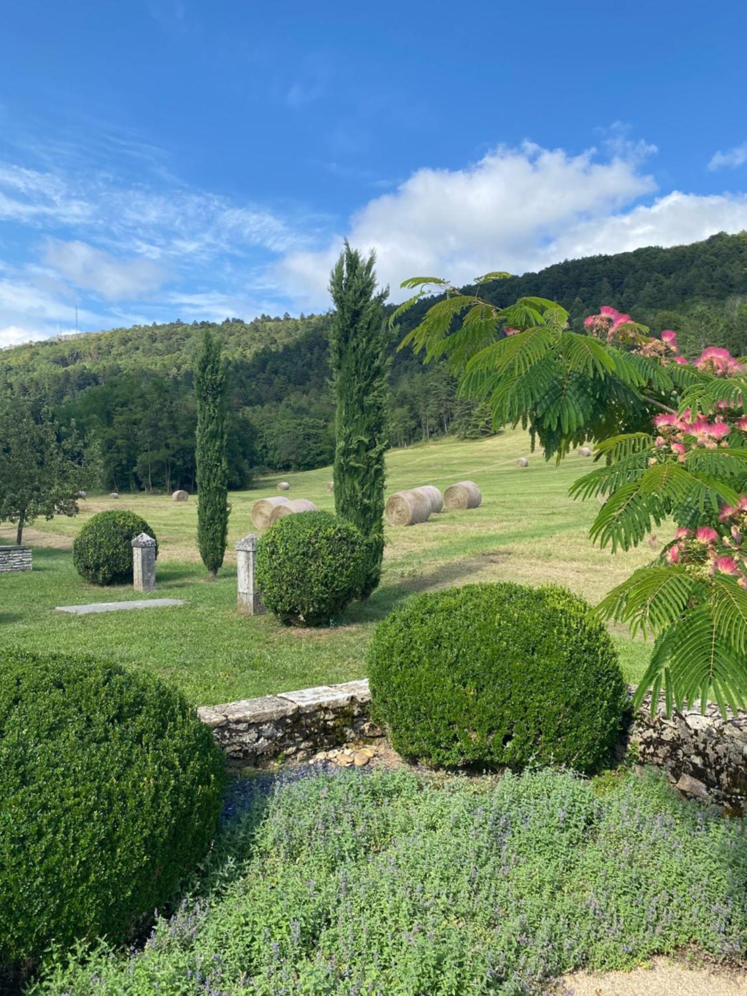 Clos De Mont July, Architecture Xviiie Au Coeur De La Nature Ceyzeriat Εξωτερικό φωτογραφία